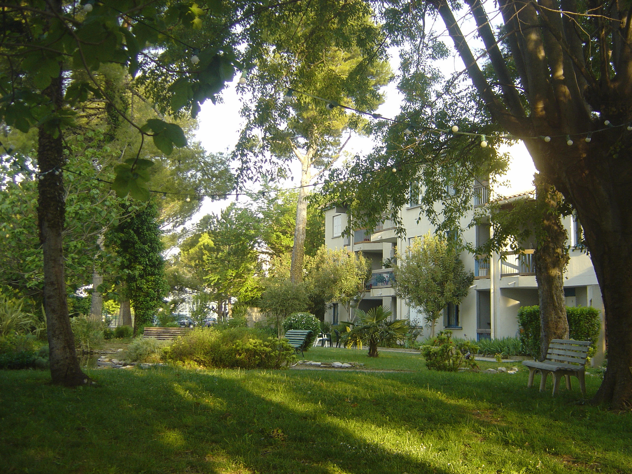 photo ANN SAN SOC 2011