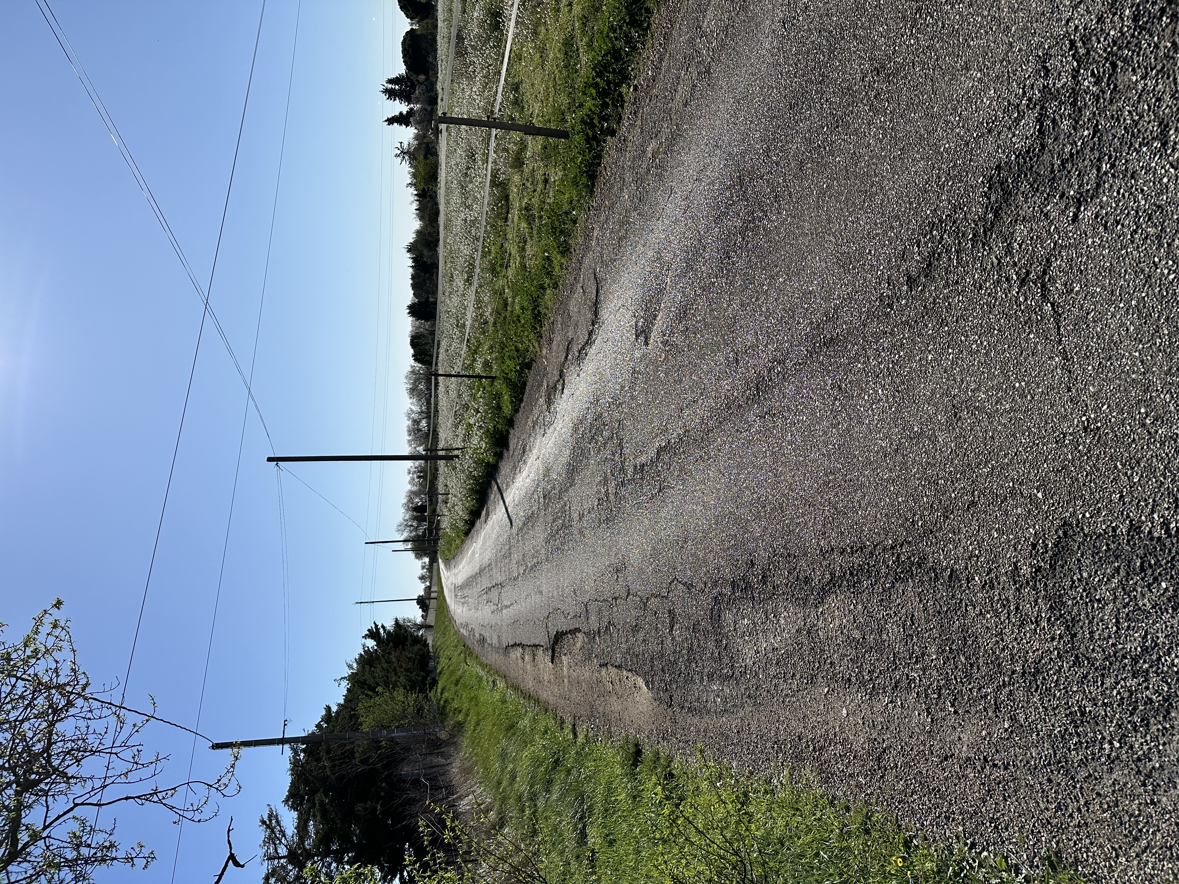 IMG 9273 avant chemin de Garons