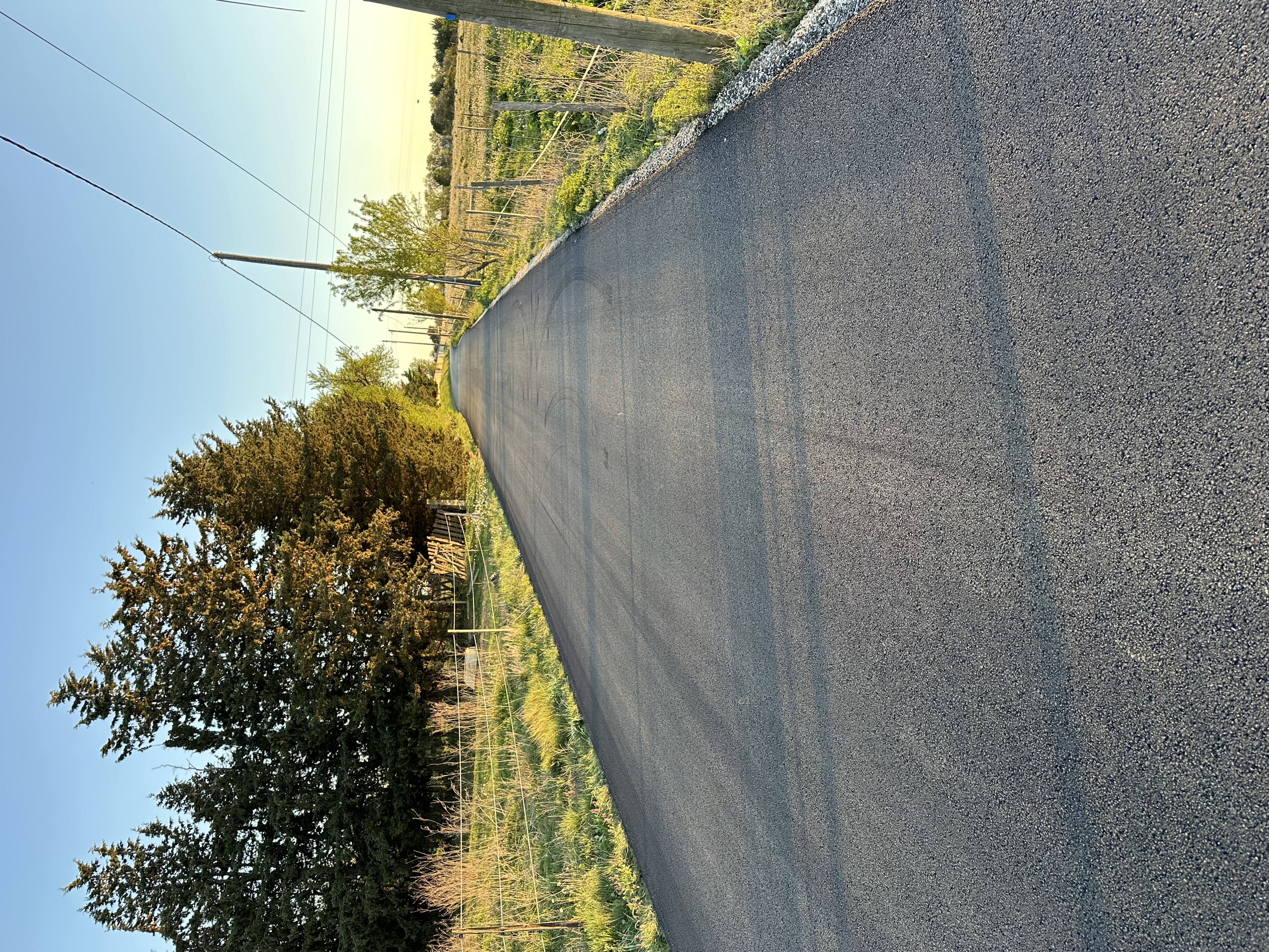 IMG 9333 après chemin de Garons